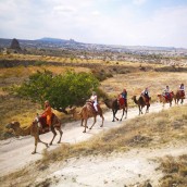 Camel Tour