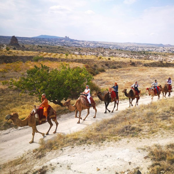 Camel Tour