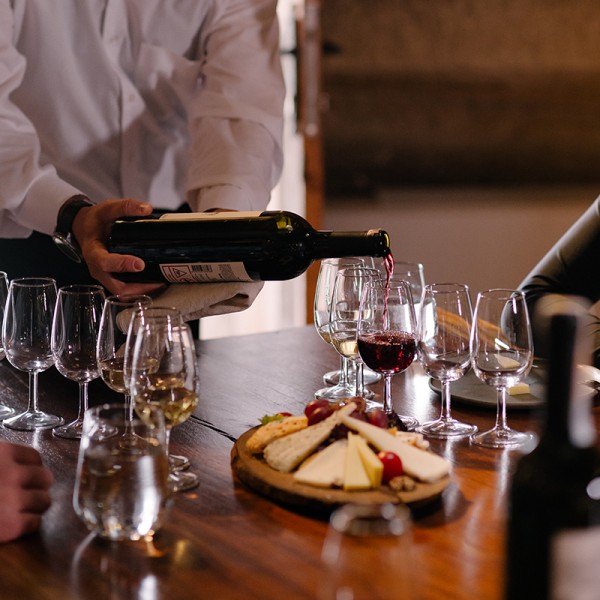 Cata de vinos