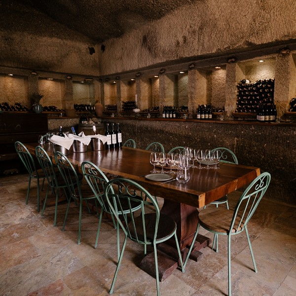 Cata de vinos